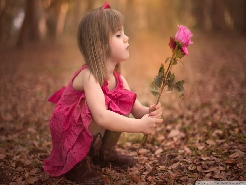 蓝色试管架试管采血避光方法试管需要蒙眼睛