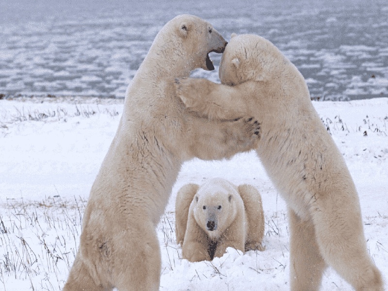尿酸用什么试管咨询试管怎么挂号无锡平底试管价格